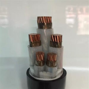 Copper conductor XLPE PVC insulated power cable 0.6/1kV